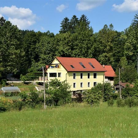 Apartmaji Maln Dolenjske Toplice Bagian luar foto