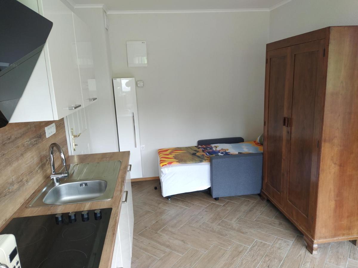 Apartmaji Maln Dolenjske Toplice Bagian luar foto